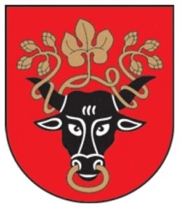 Pasvalio rajono savivaldybė