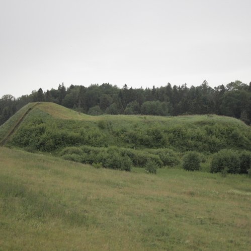Bubių piliakalnis