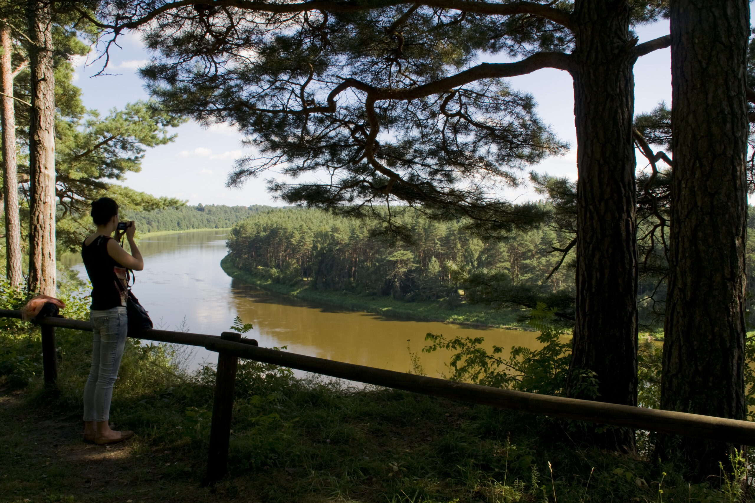 Škėvonių atodanga