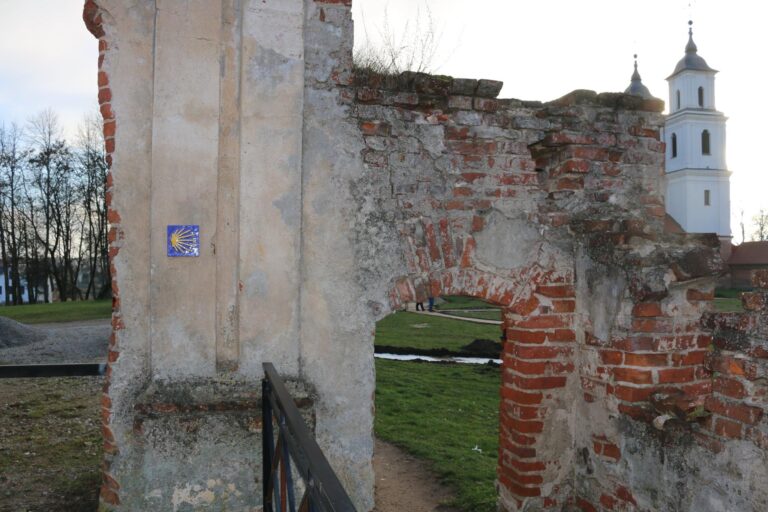 Tytuvėnų bažnyčios ir vienuolyno ansamblis